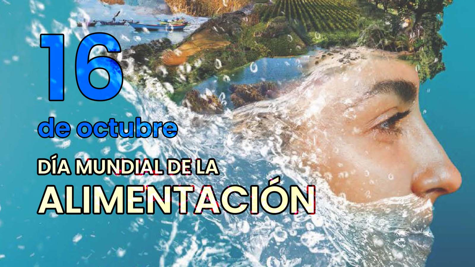 DÍA MUNDIAL DE LA ALIMENTACIÓN